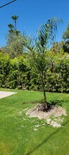 37555 Palo Verde Dr in Cathedral City, CA - Building Photo - Building Photo