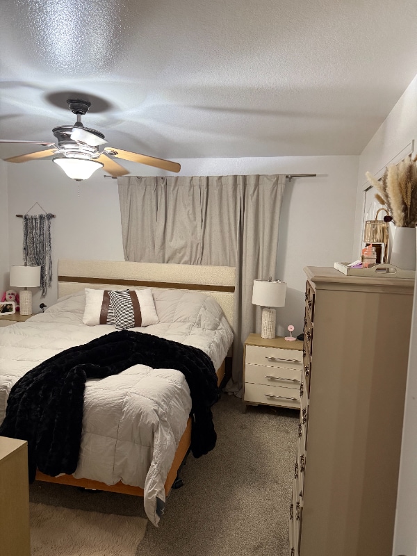 property at 804 Blue Sage Way