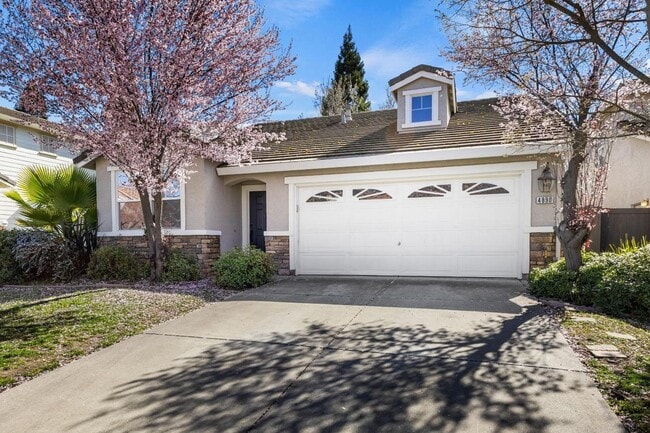 property at 4890 Alterra Way
