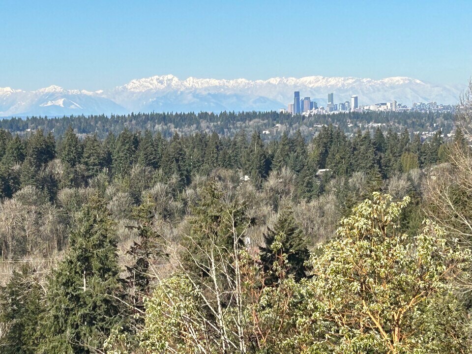 13603 SE 55th Pl in Bellevue, WA - Building Photo