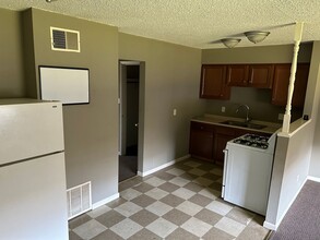 217 N Hamilton St in Shelbyville, IN - Building Photo - Building Photo