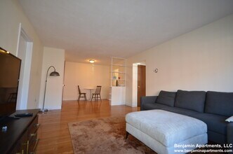 3 Brattle Dr, Unit 3 in Arlington, MA - Building Photo - Building Photo