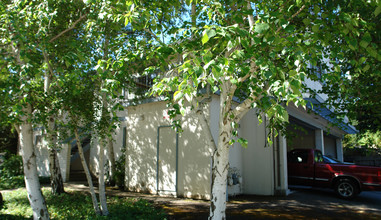 929 Dewing Ave in Lafayette, CA - Foto de edificio - Building Photo
