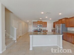 10411 Fairy Moss Ln in Riverview, FL - Building Photo - Building Photo