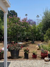 1973 El Sereno Ave in Pasadena, CA - Building Photo - Building Photo
