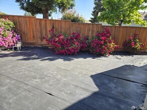 325 Goshen Ct in San Ramon, CA - Building Photo - Building Photo