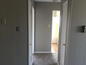 1160 N Ogden St in Denver, CO - Building Photo - Building Photo