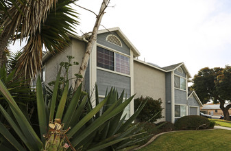 Legacy Clementine in Oceanside, CA - Foto de edificio - Building Photo