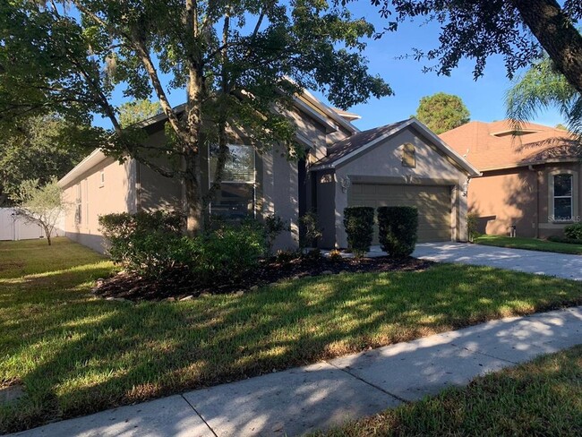 15824 Leatherleaf Ln in Land O Lakes, FL - Foto de edificio - Building Photo