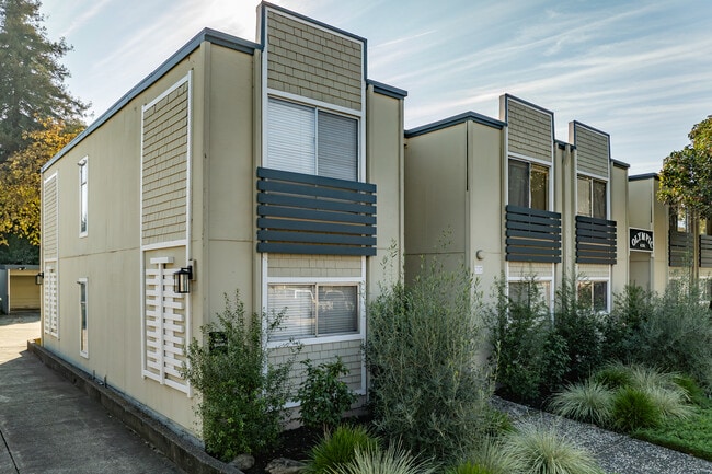Olympic Apartments in Santa Rosa, CA - Foto de edificio - Building Photo