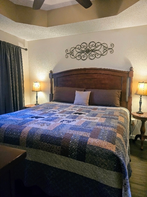 24 Village Trail in Branson, MO - Building Photo - Building Photo