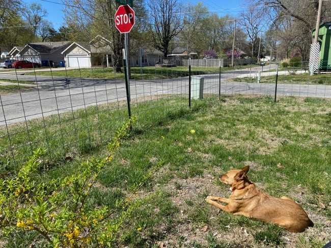 246 N 8th St in Lawrence, KS - Building Photo - Building Photo