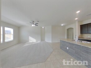 1152 Ibis Falls Loop in Jarrell, TX - Foto de edificio - Building Photo