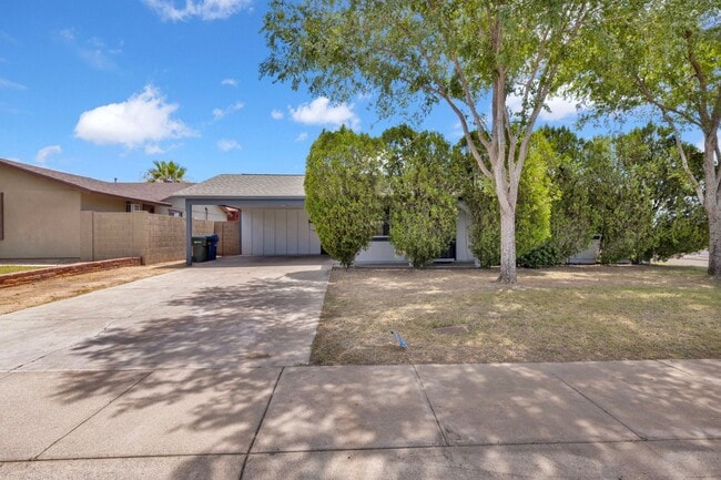 13811 N 37th Way in Phoenix, AZ - Building Photo - Building Photo
