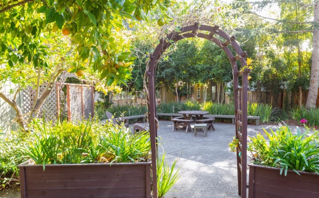 435 Meder St in Santa Cruz, CA - Building Photo - Building Photo