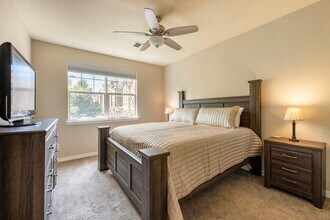 15460 Canyon Gulch Ln in Englewood, CO - Building Photo - Building Photo