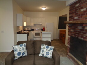 Westbourne Apartments in Ithaca, NY - Building Photo - Building Photo