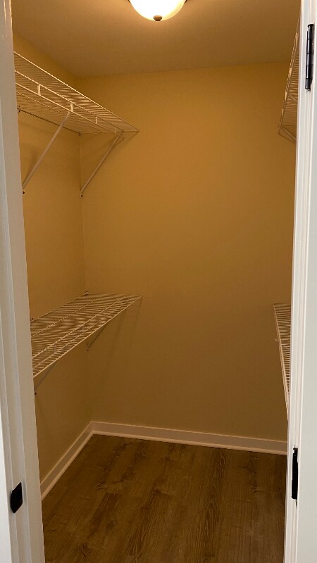 150 Saratoga Ct in Vernon Hills, IL - Building Photo - Building Photo