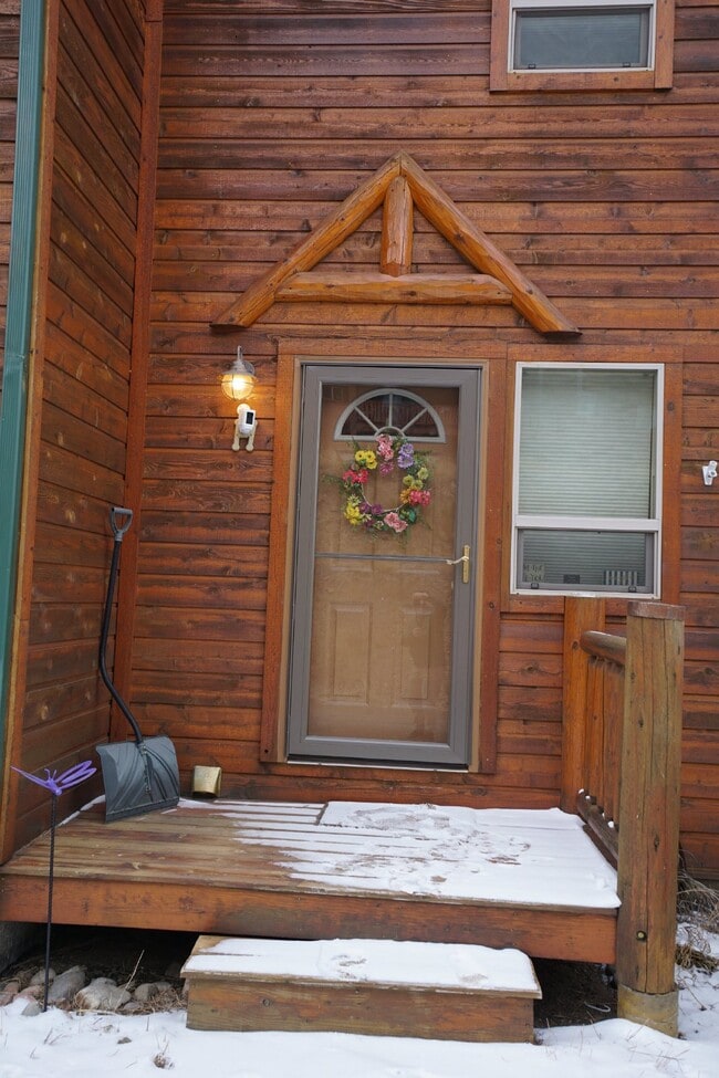303 Virginia Rd in Bailey, CO - Building Photo - Building Photo