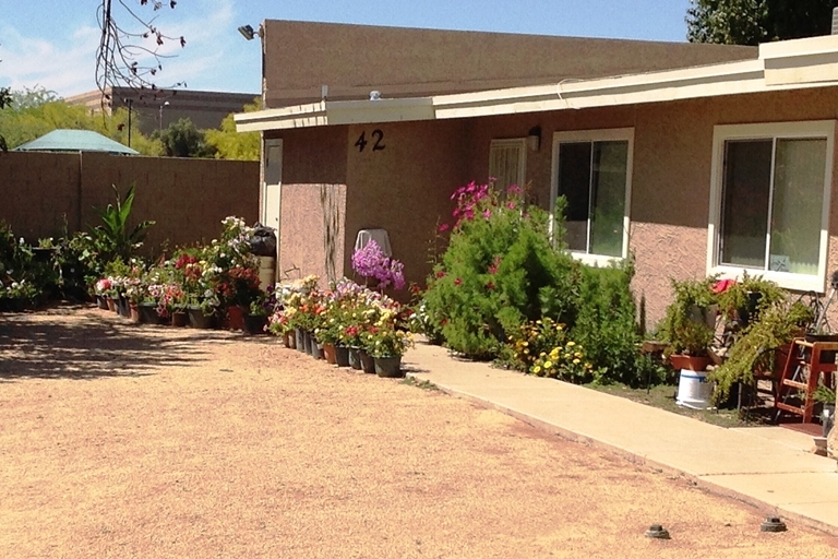 Northview Estates in Phoenix, AZ - Building Photo