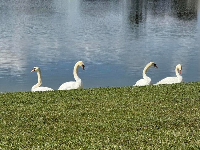 8913 SW Chevy Cir in Stuart, FL - Foto de edificio - Building Photo