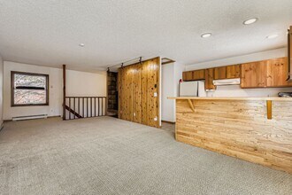 345 N Chipmunk Cir in Silverthorne, CO - Building Photo - Building Photo