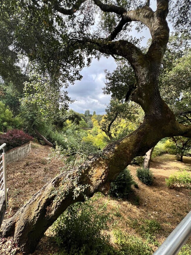 1765 Silverado Trail in Napa, CA - Foto de edificio - Building Photo