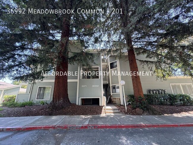 property at 36992 Meadowbrook Common