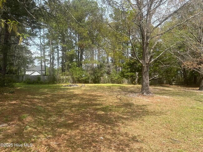 137 Roughleaf Trail in Hampstead, NC - Building Photo - Building Photo