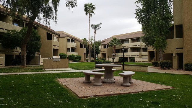 1331 W Baseline Rd-Unit -374 in Mesa, AZ - Building Photo - Building Photo