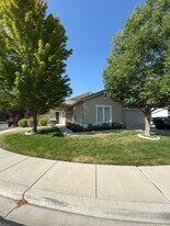 1790 River Gorge Dr in Reno, NV - Building Photo