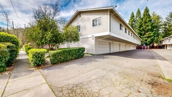 1311 Spring St in Calistoga, CA - Building Photo