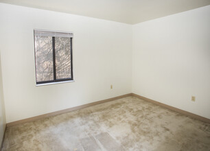 The Forest Apartments in Pittsburgh, PA - Building Photo - Building Photo