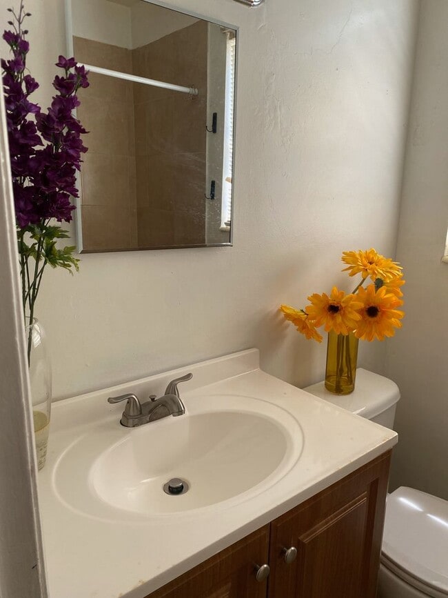 523 26th Ave SE in St. Petersburg, FL - Building Photo - Building Photo