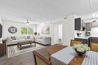 Paradise Gardens 55+ Senior Apartments in Dallas, TX - Building Photo - Building Photo