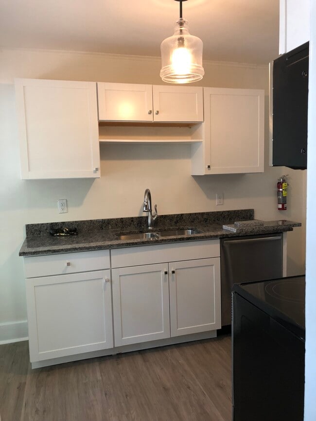 245 E Hamilton Ave in State College, PA - Building Photo - Building Photo