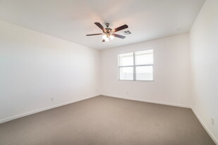 11012 S 56th Ln in Phoenix, AZ - Foto de edificio - Building Photo