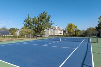 Bonhomme Village in St. Louis, MO - Foto de edificio - Building Photo