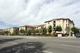 Sungrove Senior Apartment Homes in Garden Grove, CA - Building Photo