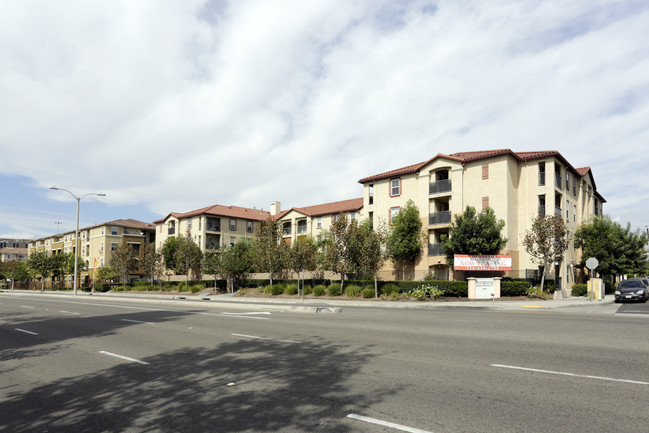 Sungrove Senior Apartment Homes