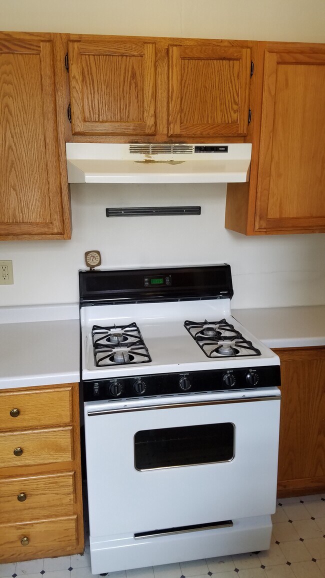 532 W Wilson St, Unit 1 in Madison, WI - Foto de edificio - Building Photo