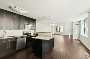 666 N Dearborn St in Chicago, IL - Building Photo