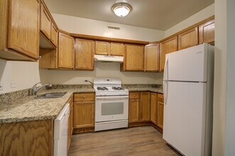 1817 N Clybourn Ave, Unit 1 in Chicago, IL - Building Photo - Building Photo