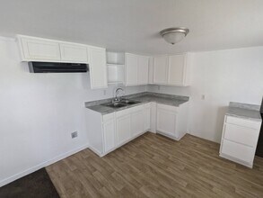 1009 Luan Way in Seven Points, TX - Building Photo - Building Photo