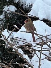 16 Crooked Mile Rd, Unit 2 in Westport, CT - Building Photo - Building Photo