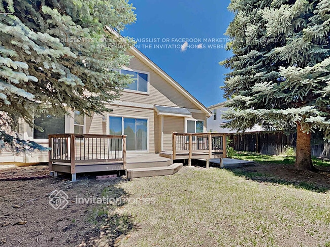 4511 N Blazingstar Trail in Castle Rock, CO - Foto de edificio - Building Photo