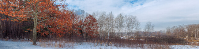 Casas Alquiler en Arden Hills, MN