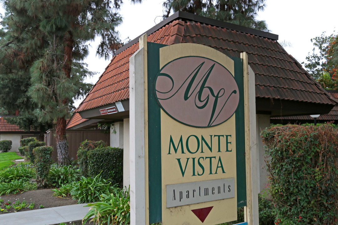 Monte Vista Photo