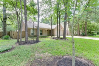 18 W Stony Bridge Ct in Spring, TX - Building Photo - Building Photo