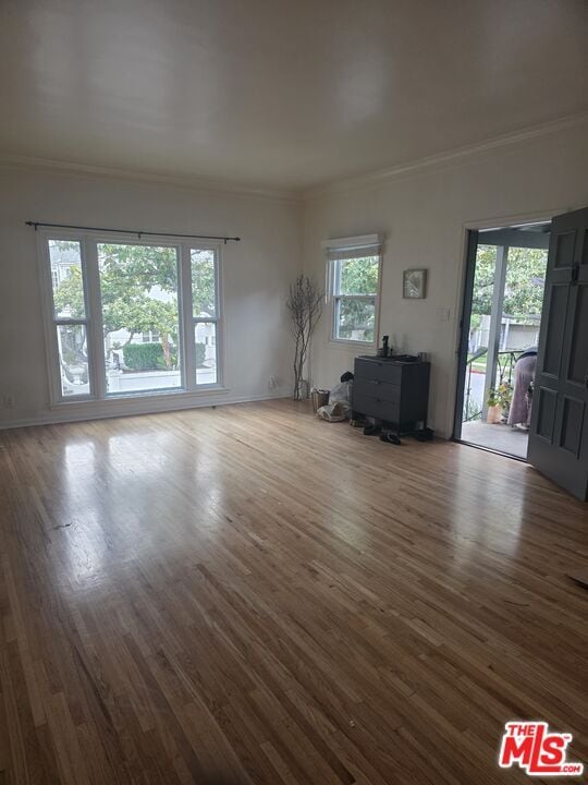 257 N Almont Dr in Beverly Hills, CA - Building Photo - Building Photo